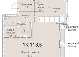Продам 1-комнатную квартиру, 118.5 м2, Новосибирск, Овражная улица, 2А, метро Гагаринская