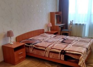 Сдача в аренду однокомнатной квартиры, 45 м2, Санкт-Петербург, улица Латышских Стрелков, ЖК Ладожский Парк