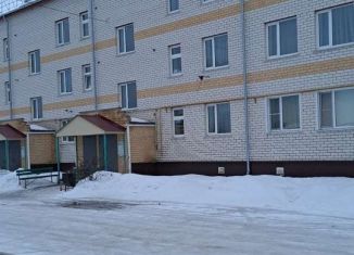 Продается однокомнатная квартира, 36 м2, деревня Бебяево, Молодёжная улица, 30