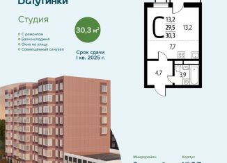 Продам квартиру студию, 30.3 м2, Москва, микрорайон Новые Ватутинки Заречный, 5/1