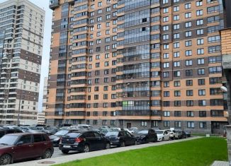 Продаю квартиру студию, 25 м2, Санкт-Петербург, ЖК Приневский, Русановская улица, 18к1