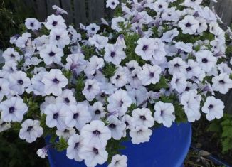 Продаю дом, 20 м2, Курган