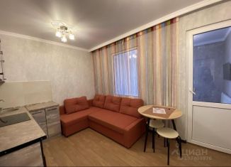 Сдача в аренду квартиры студии, 31 м2, Ростов-на-Дону, Творческая улица, 9, ЖК Звёздный