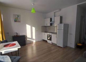 Сдаю в аренду квартиру студию, 24.5 м2, Мытищи, 1-й Стрелковый переулок, 1