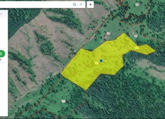 Земельный участок на продажу, 3100 сот., село Шашикман, Молодёжная улица