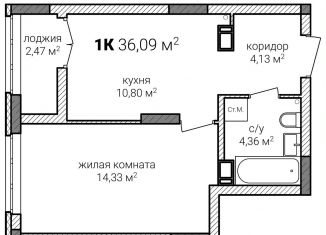 Продажа 1-комнатной квартиры, 36.1 м2, Нижний Новгород, Советский район