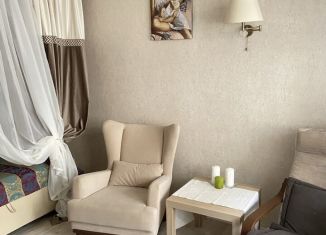 Сдается в аренду 1-комнатная квартира, 35 м2, Сочи, Ясногорская улица, 4, микрорайон Бытха