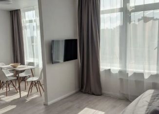 Продается 1-комнатная квартира, 30 м2, Сочи, улица Пирогова, 26, микрорайон Новый Сочи