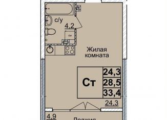 Продам квартиру студию, 33 м2, Нижний Новгород, метро Горьковская