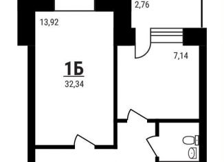 Продаю 1-комнатную квартиру, 32.3 м2, Московская область, микрорайон Дружный, 15