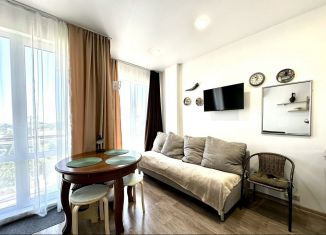 Продаю квартиру студию, 20 м2, Сочи, Православная улица, 20/2, микрорайон Энергетик-Изумруд