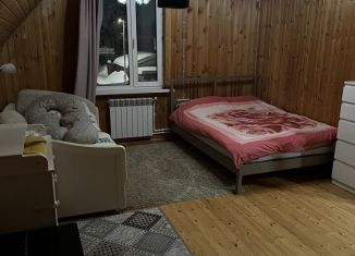 Сдаю в аренду дом, 150 м2, деревня Хрипань, Школьная улица, 6