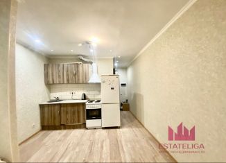 Продам квартиру студию, 20 м2, рабочий посёлок Лопатино, Сухановская улица, 31, ЖК Государев Дом