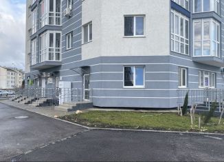 Помещение свободного назначения на продажу, 47 м2, Севастополь, улица Александра Маринеско, 1Бк2