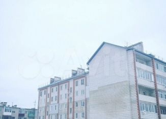 Продаю 1-комнатную квартиру, 43 м2, Бор, улица Нахимова