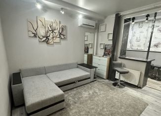 Сдается в аренду квартира студия, 26 м2, Ростов-на-Дону, переулок Салютина, 2А