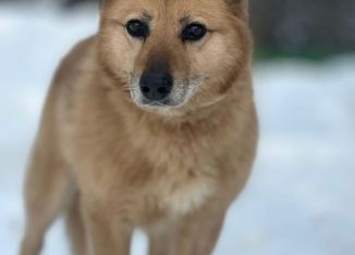 Продам дом, 50 м2, Короча, площадь Васильева