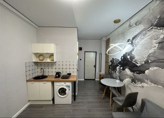 Квартира на продажу студия, 18 м2, Екатеринбург, улица Баумана, 30Б