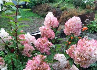 Продается участок, 7500 сот., Осинники