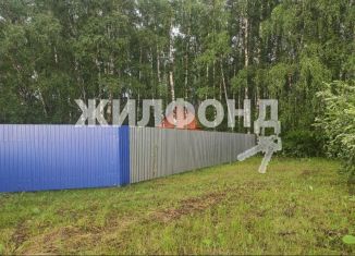 Купить Квартиру В Агролесе Искитимский Район