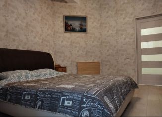 Сдам 2-комнатную квартиру, 48 м2, Санкт-Петербург, Петергофское шоссе, 78к5, метро Проспект Ветеранов