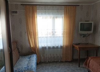 Сдается в аренду однокомнатная квартира, 24 м2, Борисоглебск, улица Белинского, 21