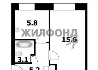 Однокомнатная квартира на продажу, 30 м2, село Толмачёво, улица Титова, 34