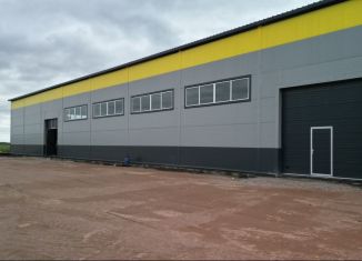 Продам помещение свободного назначения, 1000 м2, Колтушское городское поселение, Круговая улица, 16