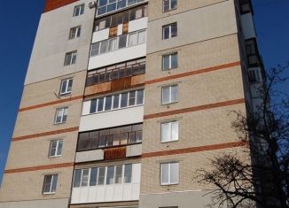 3-ком. квартира на продажу, 54 м2, Нижегородская область, проспект Чкалова, 53