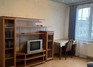 Сдается 2-ком. квартира, 45 м2, Санкт-Петербург, Товарищеский проспект, 4литЗ, Невский район