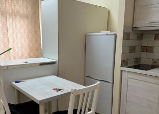 Сдам в аренду квартиру студию, 18 м2, Котельники, Кузьминская улица, 5