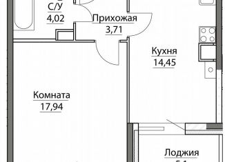 Продам однокомнатную квартиру, 46.2 м2, посёлок Красный Бор