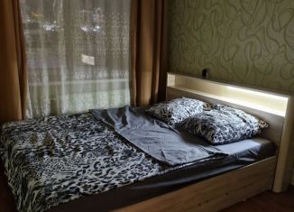 Сдается в аренду 3-комнатная квартира, 67 м2, Воткинск, улица Зверева, 3