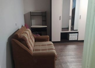 1-ком. квартира в аренду, 30 м2, Новосибирск, улица Блюхера, 49