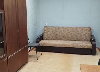 Сдам в аренду 1-ком. квартиру, 30 м2, Дзержинск, улица Ватутина, 38