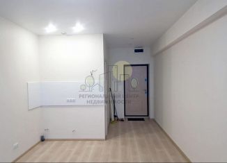 Продам квартиру студию, 28 м2, рабочий поселок Маркова, микрорайон Берёзовый, 249