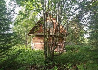 Продается дом, 36 м2, поселок Гусевка, Берёзовая улица