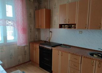 Сдам однокомнатную квартиру, 35 м2, Белгород, Садовая улица, 118Б