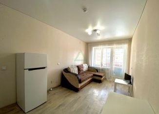 Продам квартиру студию, 19.6 м2, село Михайловка, Сливовая улица, 8