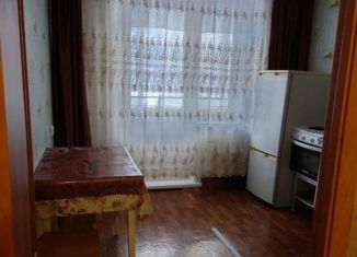 Сдается в аренду 1-ком. квартира, 30 м2, Красноярск, улица Карамзина, 30