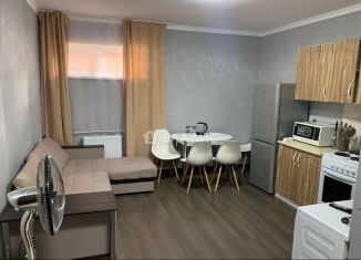 Продается квартира студия, 25 м2, посёлок Российский, улица Ратной Славы, 27