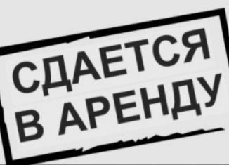 Сдача в аренду гаража, 30 м2, Алтайский край, улица Бабуркина, 18А