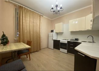 Сдается в аренду 2-ком. квартира, 61 м2, Санкт-Петербург, улица Катерников, 5к2, ЖК Линкор