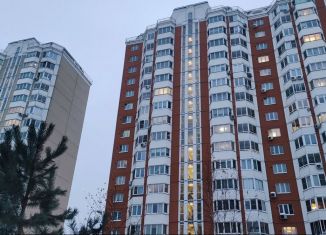 Продаю квартиру студию, 15.9 м2, Москва, улица Льва Яшина, 9, ЖК Некрасовка-Парк