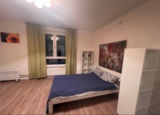 Сдам в аренду квартиру студию, 28 м2, Красногорск, Видная улица, 3