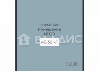 Продаю помещение свободного назначения, 40.38 м2, Воронеж, улица 20-летия Октября, 59к1