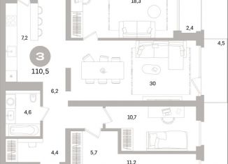 3-ком. квартира на продажу, 110.5 м2, Санкт-Петербург, метро Зенит