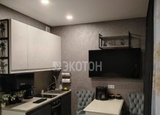 Продаю квартиру студию, 25 м2, Санкт-Петербург, Окуловская улица, 18