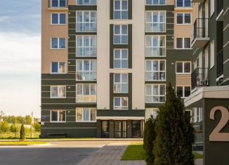 Продажа однокомнатной квартиры, 22.9 м2, Пионерский, улица Гептнера, 17