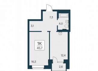 Продается однокомнатная квартира, 45.7 м2, Новосибирск, Заельцовский район